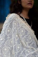 Load image into Gallery viewer, Embroidered Lucknavi Dupatta - Adorable Me
